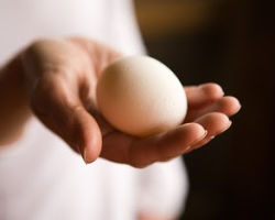 Аллергия на яйца не приговор