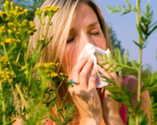 Лікування алергії - шлях до одужання