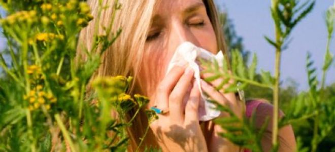 Allergy treatment - the way to recovery