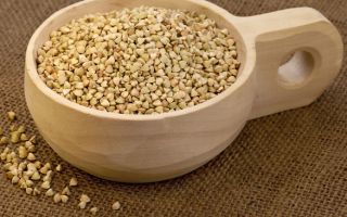 Allergy to buckwheat: symptoms, treatment, diagnosis