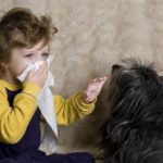 аллергия на собак у детей