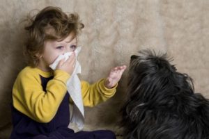 аллергия на собак у детей