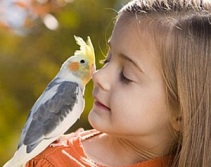 аллергия на попугаев